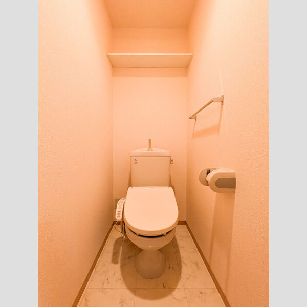 ルインズ・イン・マルヤマ　ABCDEFB102号室 トイレ