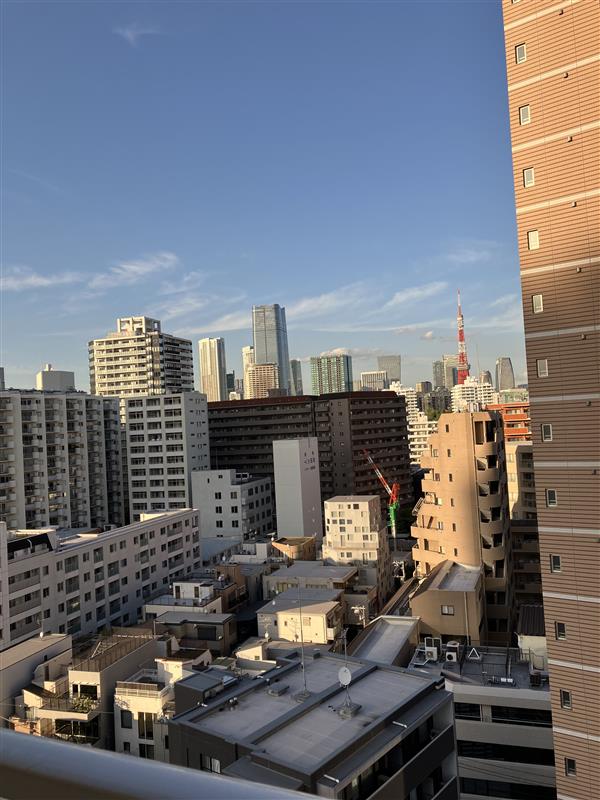 プラウドフラット白金高輪1201号室 バルコニーからの眺望