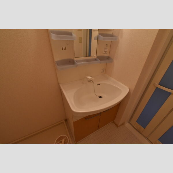 ラフィネ　壱・弐番館2102号室 洗髪洗面化粧台