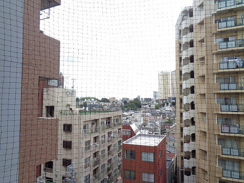 グローリア初穂千駄木・ヴェルデ千駄木8階 バルコニーからの眺望