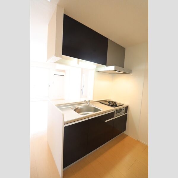 スカイパークYASHIO303号室 対面システムキッチン