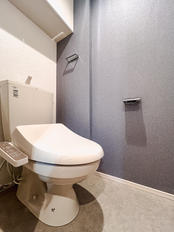 アイル グランデ川口311号室 トイレ