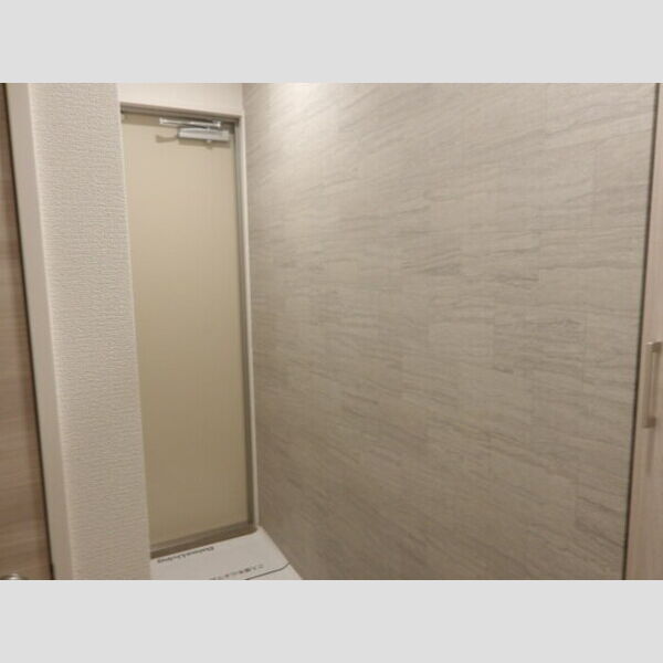 D-Zephyr(ディーゼファー)202号室 玄関