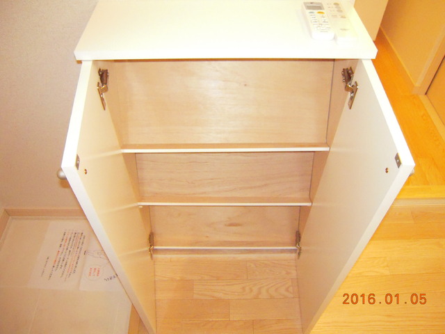 Ｃａｓａ　Ａｌｅｘ0203号室 収納