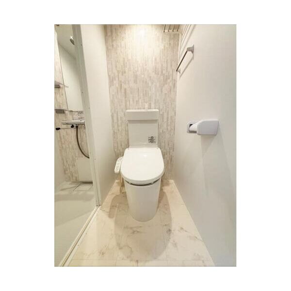 スミノ藤沢604号室 トイレ