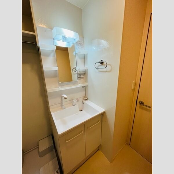 グランウェル202号室 独立洗面台