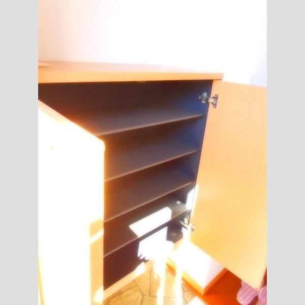 シュテルン上福岡 玄関