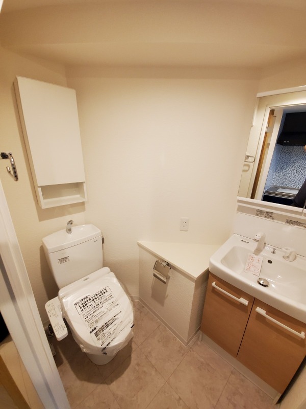 スカイコート武蔵新田Ⅱ 洗面