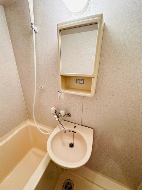 ＮＴ　ＣＯＵＲＴ0306号室 洗面