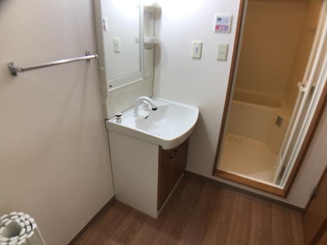 God　valley207号室 洗面