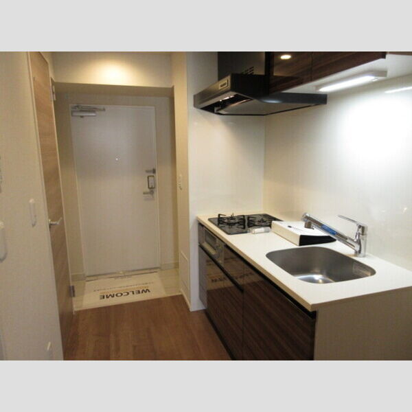 ロイジェントパークス錦糸町 2口ガスコンロ付システムキッチン