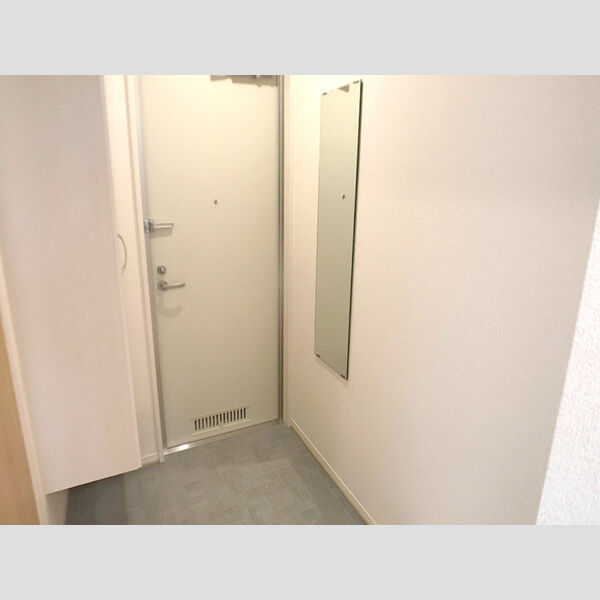 confort(コンフォール)207号室 玄関