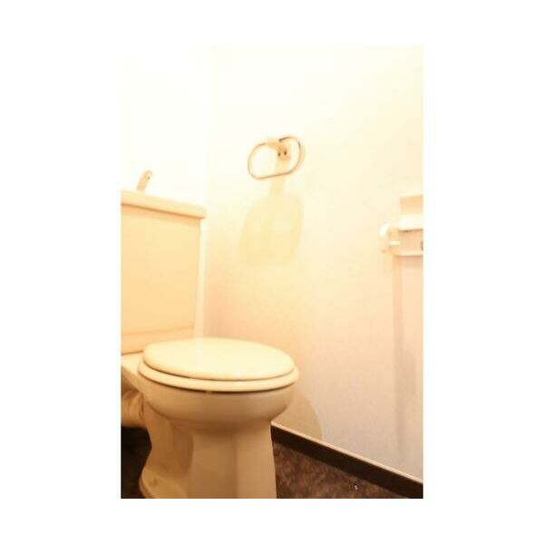 綾東ヴィレッジ弐番館202号室 トイレ