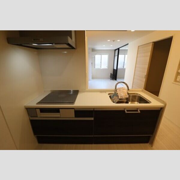 D-PRECIOUS武蔵野101号室 キッチン