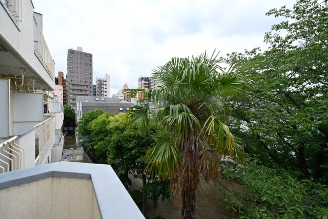 メゾン・ド・ブリーヤン3階 展望