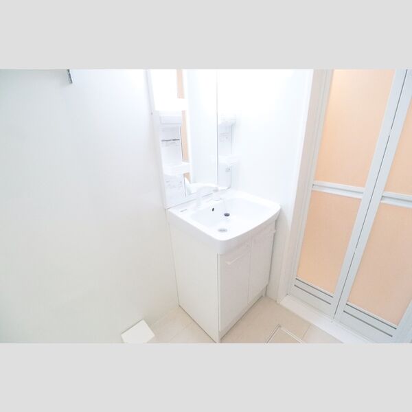 フォレストテラス大宮106号室 洗面所