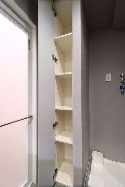 ピアース銀座レジデンス9階 収納