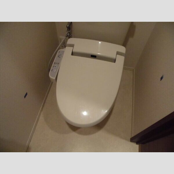 ヴェール203号室 トイレ