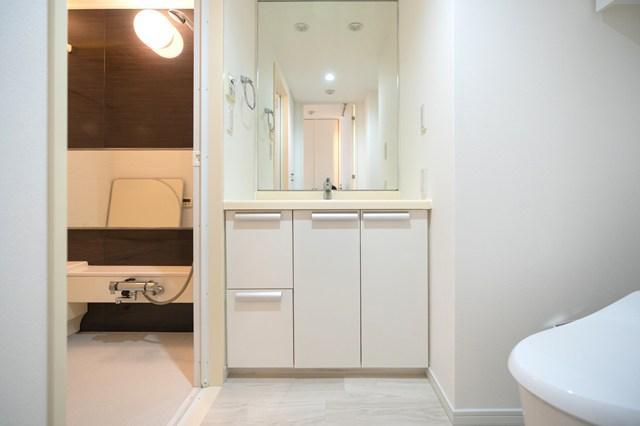 六本木デュープレックスエムズ3階 トイレ