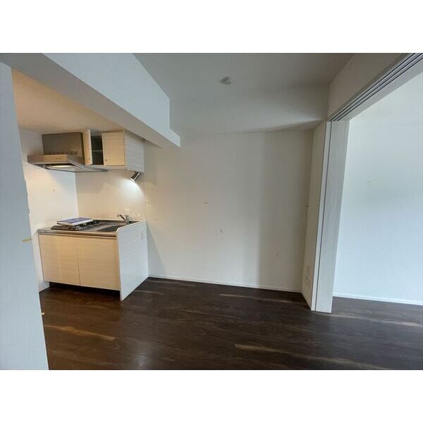 エルフォルテ東京EAST605号室 部屋その他