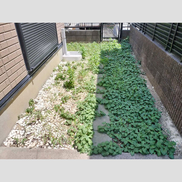 佐倉市上座貸家 庭