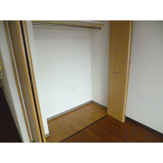 プリマヴェーラ問屋町0702号室 クローゼット