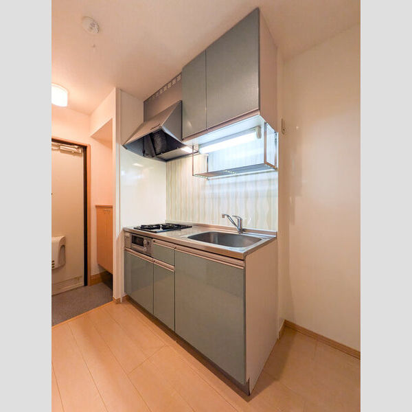 ルインズ・イン・マルヤマ　ABCDEFB102号室 キッチン