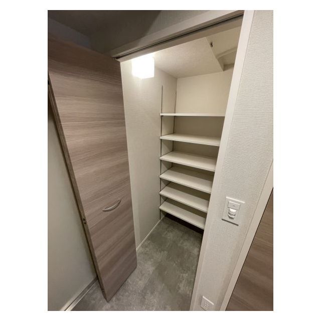 ドゥーエ亀戸Ⅱ0401号室 シューズクローゼット（玄関）