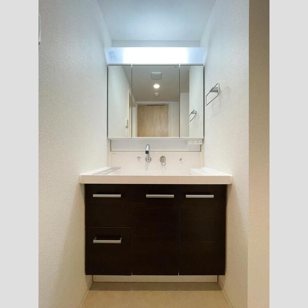 Ｓ－ＲＥＳＩＤＥＮＣＥ富士見ヶ丘ａｆｆｏｒｄ303号室 洗面