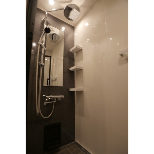 ブルーノコート蒲田0311号室 シャワーブース