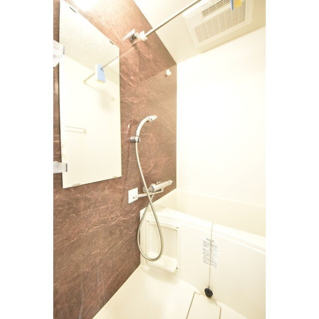 Court Blanche0120号室 内観