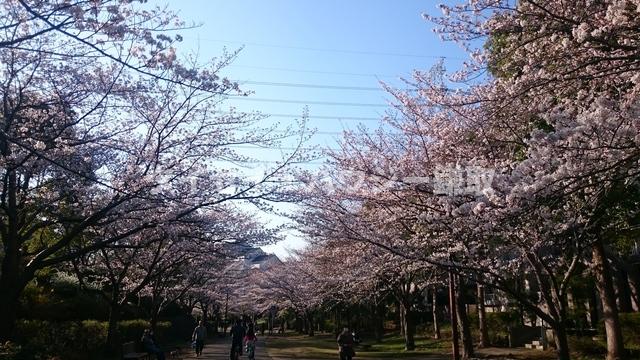 未貴ハイムＡ棟A201号室 おゆみ野さくら公園