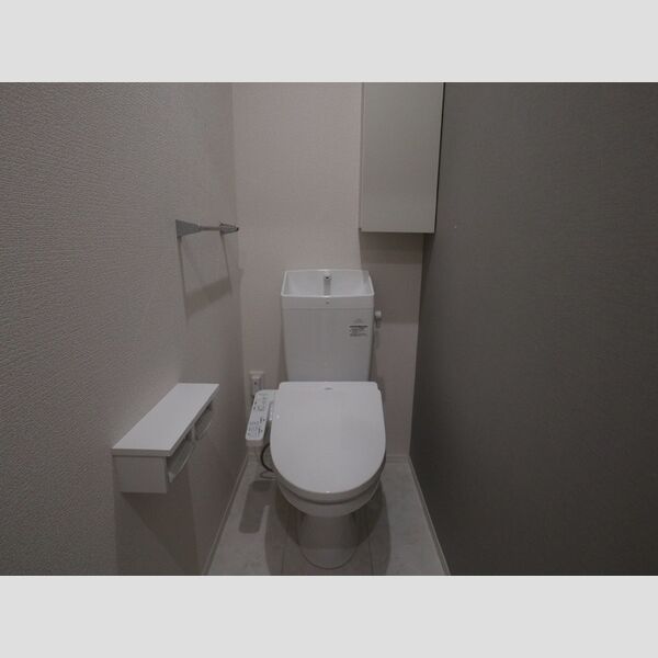 D Paina 桜ヶ丘103号室 温水洗浄便座付きトイレ