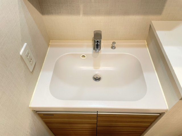 DIPS上板橋208号室 洗面