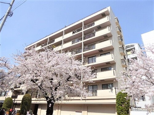 アルス自由ケ丘の外観画像