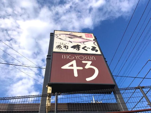 リバーウェル103号室 ビッグヨーサン町田小山店まで120ｍ