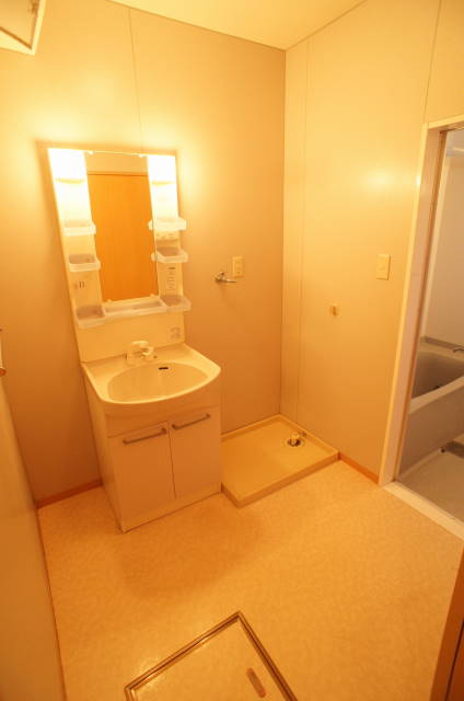 ブライトなかにし壱番館 洗面