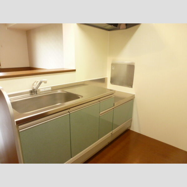 ジャーマンアイリス　Ⅱ102号室 対面キッチン