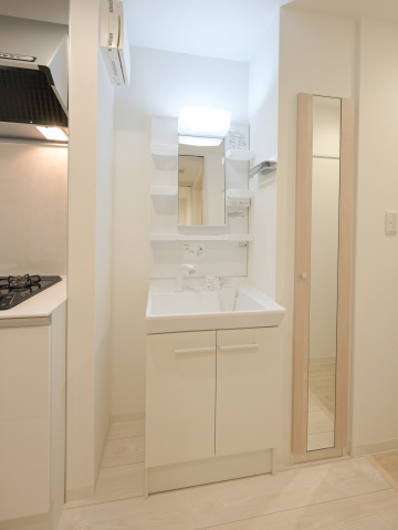 スカイルーチェ川口芝中田104号室 洗面