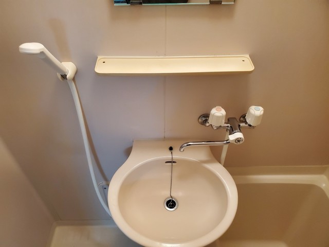 コーポ・グランデュール 洗面