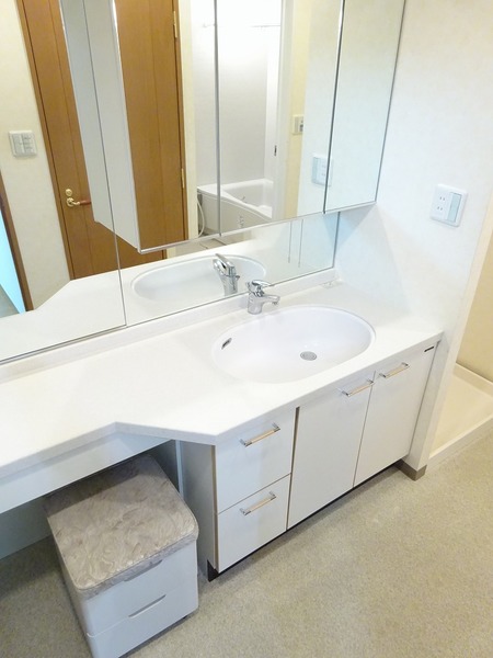 グレイス新横浜アクシス304号室 洗面