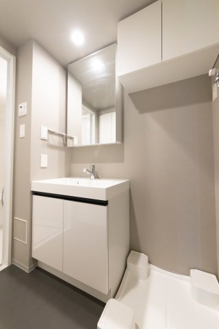 プラウドフラット墨田曳舟201号室 洗面