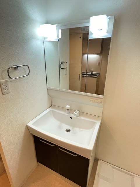 グリーンフラッツ0302号室 洗面