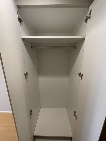 DIPS大山東町801号室 収納