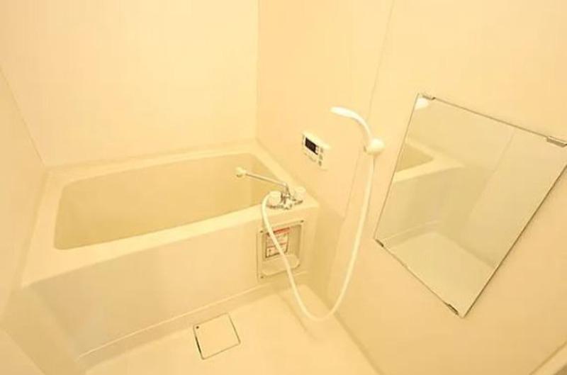 オリーブライト ※写真はイメージです