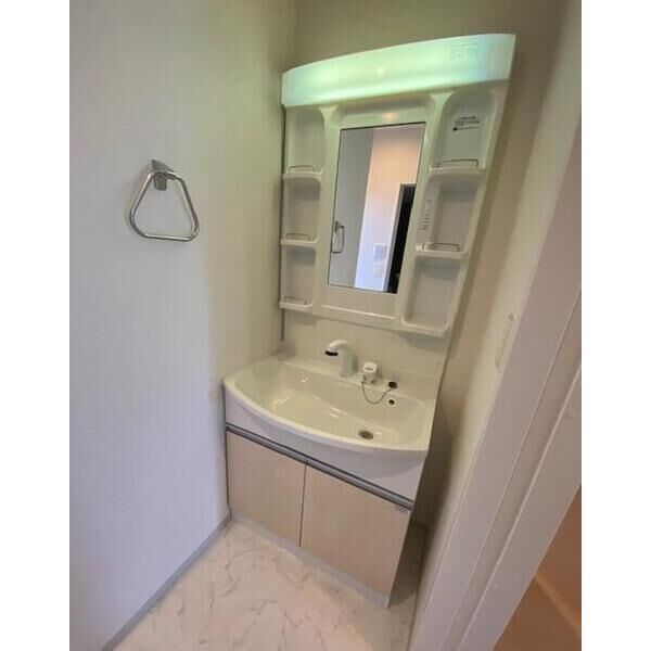 ユニヴァリィ　ノア101号室 洗面