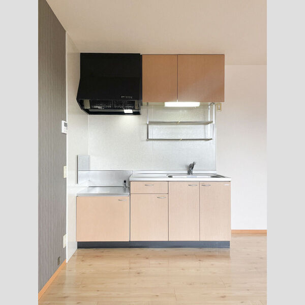 ウエストシティ　Ⅴ/ⅥⅥ302号室 キッチン