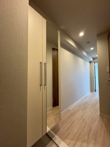 DIPS西新井408号室 玄関