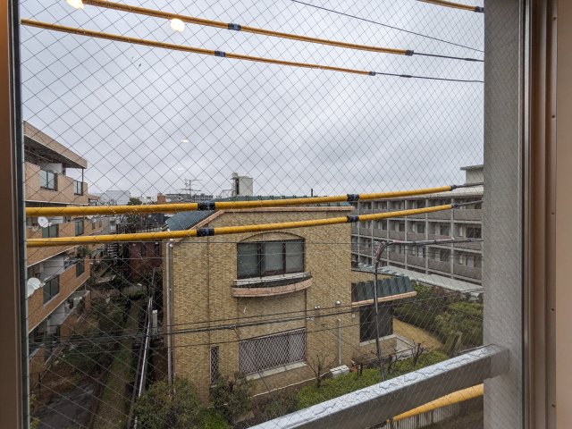 ミオテゾーロ哲学堂カーザ0203号室 同建物別部屋の参考画像