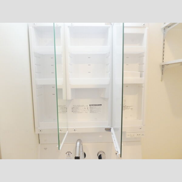 グランエスポワール302号室 洗髪洗面化粧台